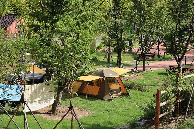 홍천강 자라바위 오토캠핑장 시설 사진 7