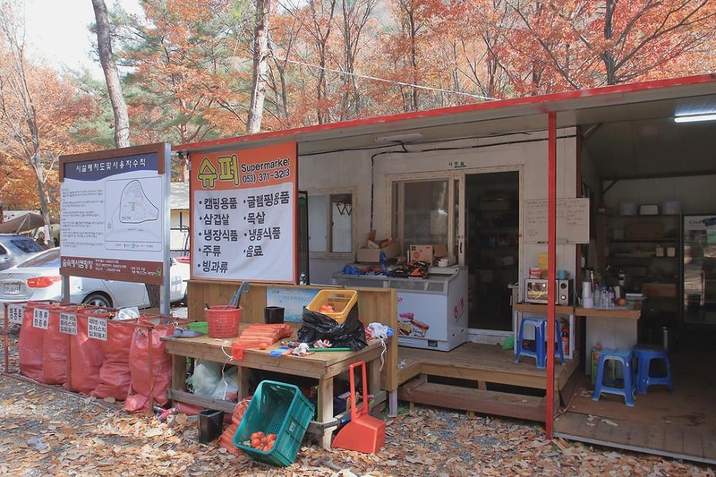 참나무숲 오토캠핑장 시설 사진 6