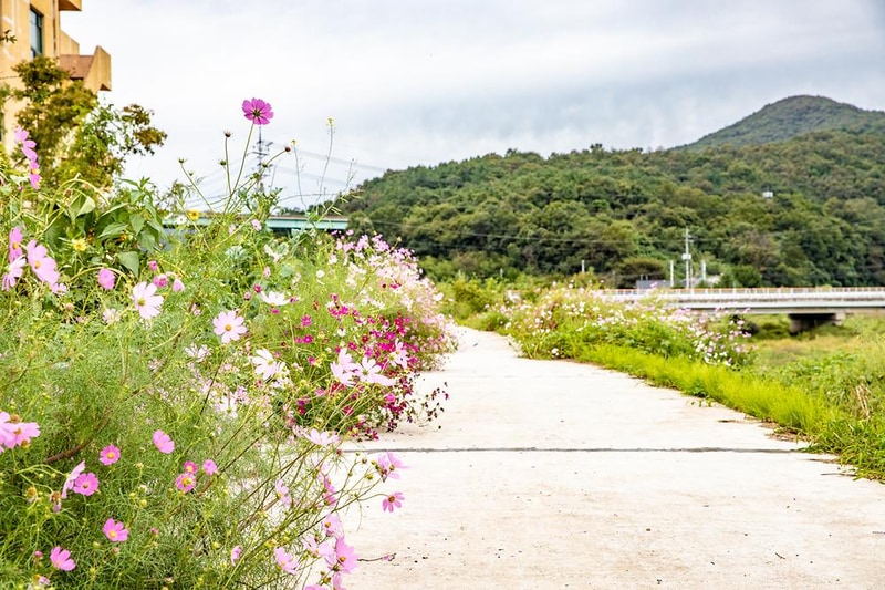 정안 글램핑 시설 사진 25