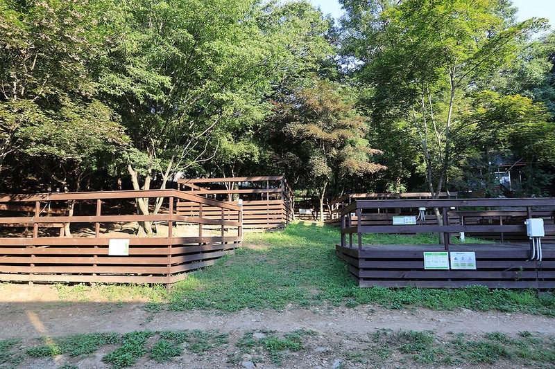 아프리카예술박물관 캠핑장 시설 사진 21