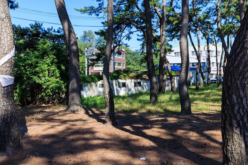 송림오토캠핑장 시설 사진 2