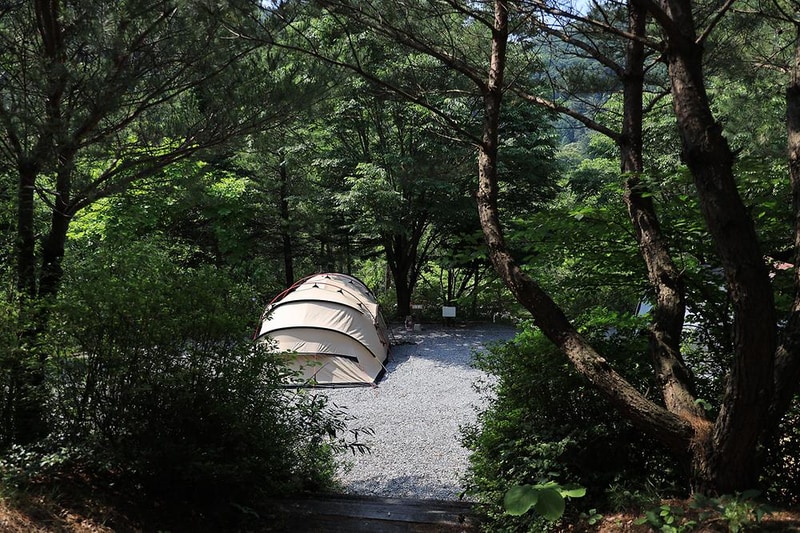 월드니스 오토캠핑장 시설 사진 12