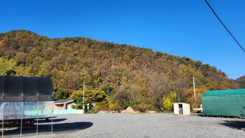 25.10.29-25.11.1 단양 노동오토캠핑장 3박4일 후기