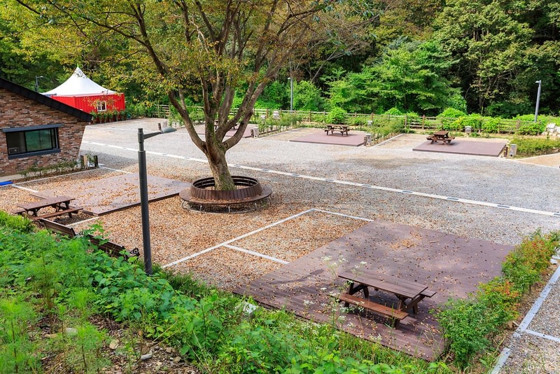 성수산 왕의숲 국민여가캠핑장 시설 사진 7