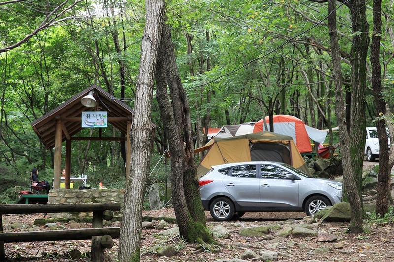 와룡자연휴양림 일반야영장 시설 사진 4