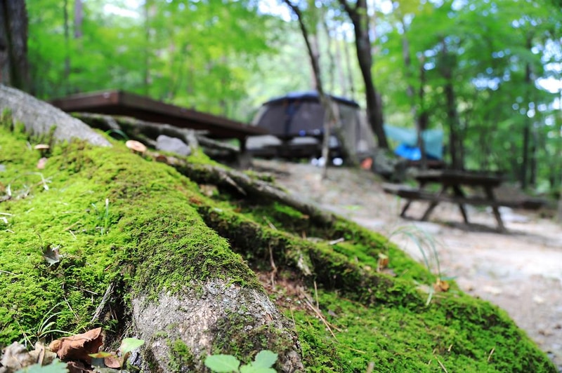 국립방태산자연휴양림 시설 사진 7