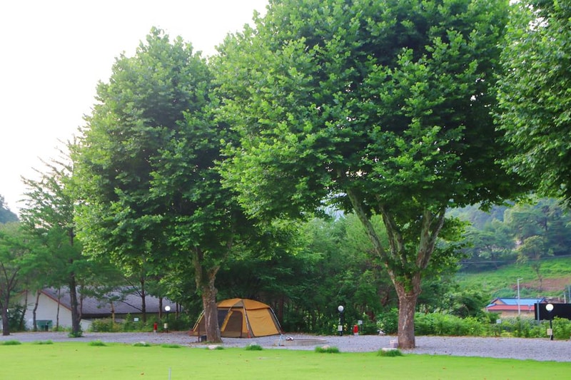 오손도손캠핑장 시설 사진 5