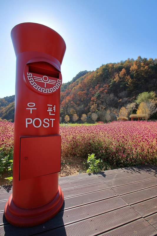 꿈의대화캠핑장 시설 사진 9