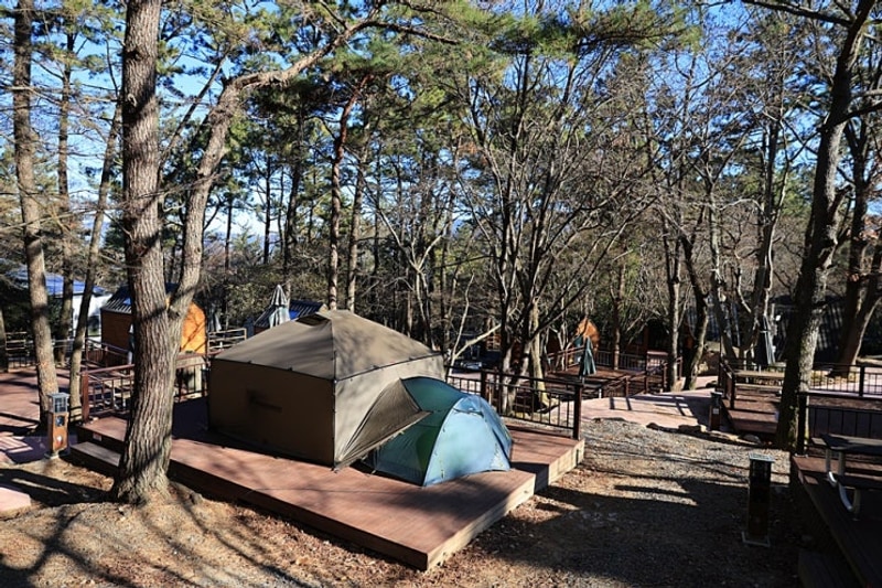 월출산국립공원 천황야영장/기찬자연휴양림...