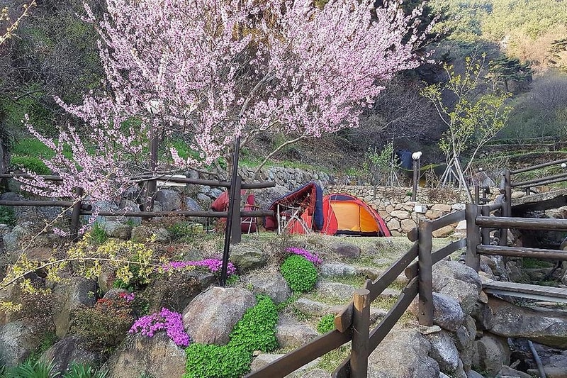 흙집섬진강풍경 시설 사진 15