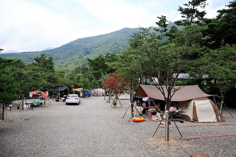 오색 산새소리캠핑장 시설 사진 5