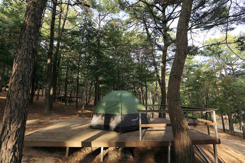 파인힐캠프 시설 사진 11