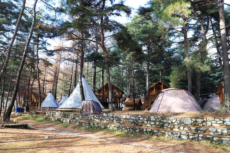 아트인아일랜드 시설 사진 15