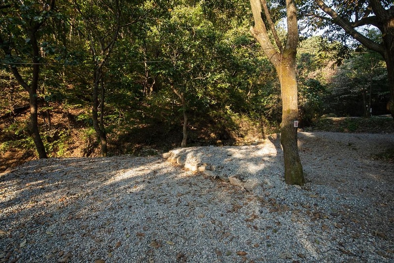 돈내미농장 시설 사진 19