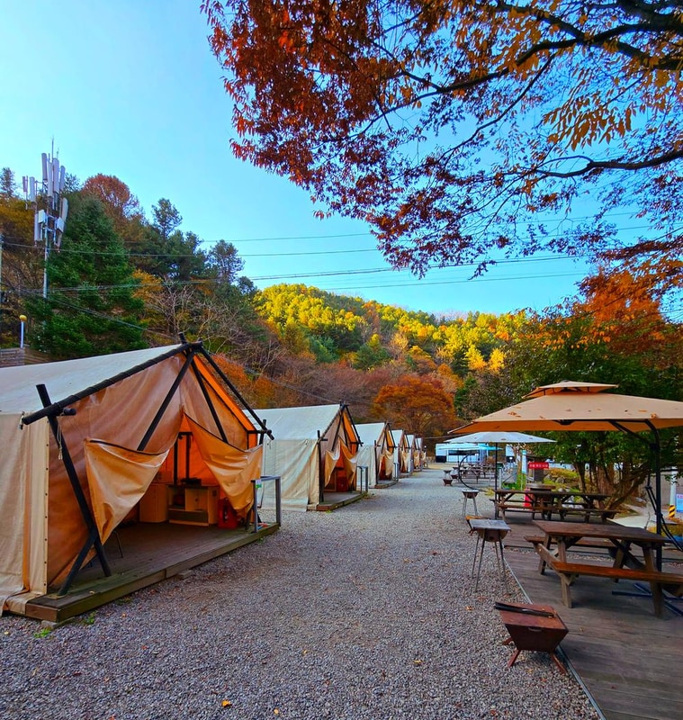 브루조아 시설 사진 14