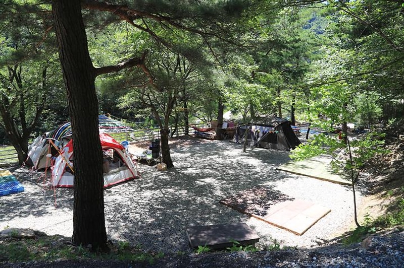 수봉야영장 대표 사진