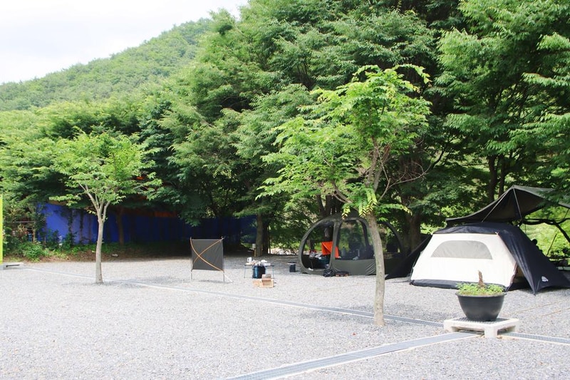 법흥계곡캠핑오늘 시설 사진 26