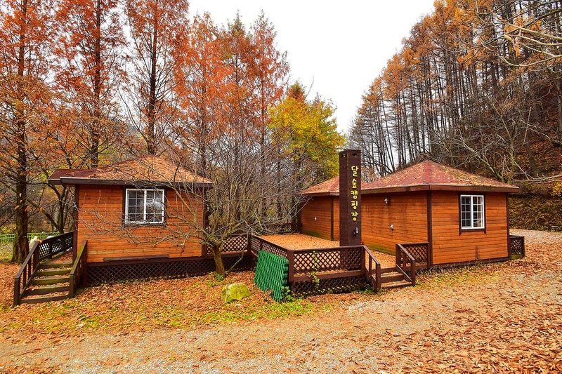 LAFORESTA(라포레스타) 시설 사진 15