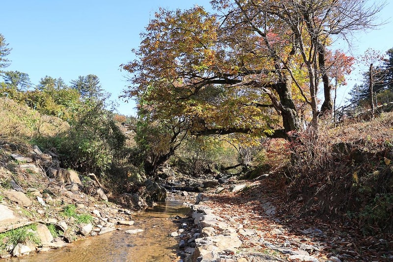 다올숲 시설 사진 6