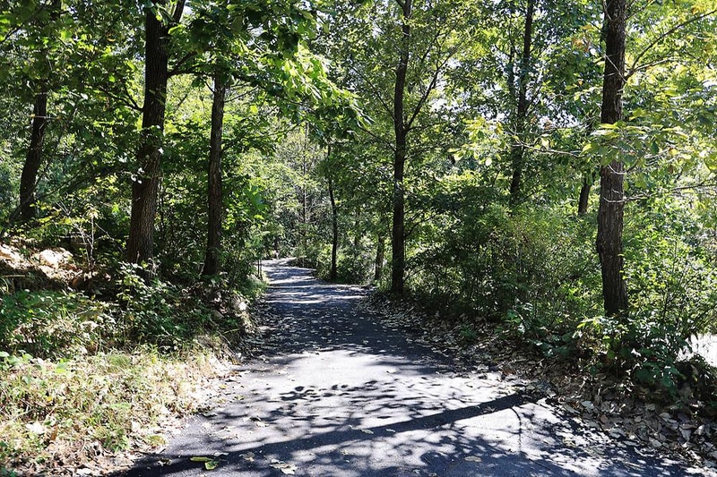 춘천 더숲 캠핑장 시설 사진 1