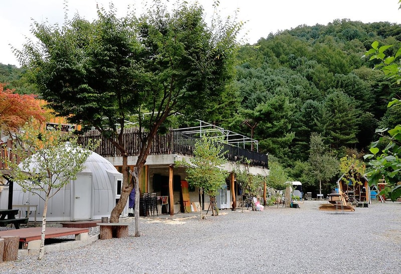 메기의 추억 시설 사진 9