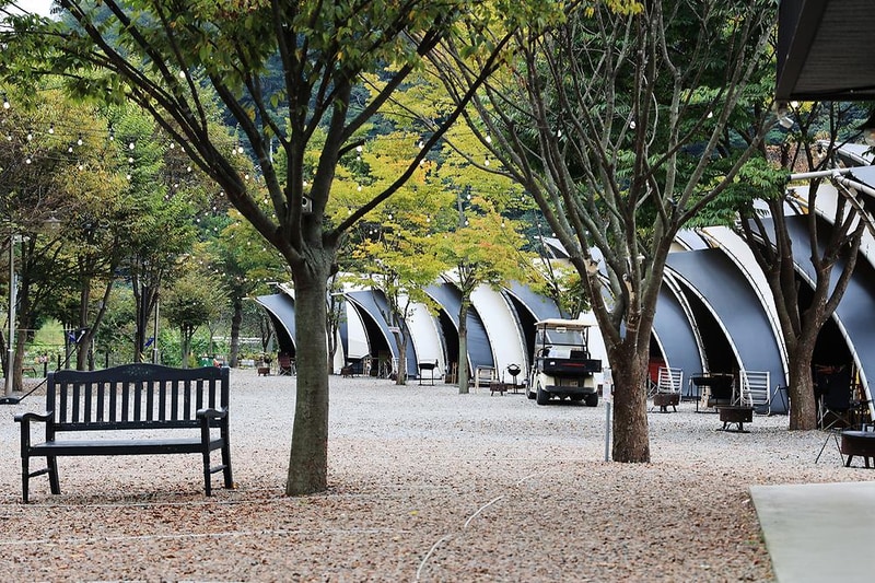 숲속에 머물다 시설 사진 14