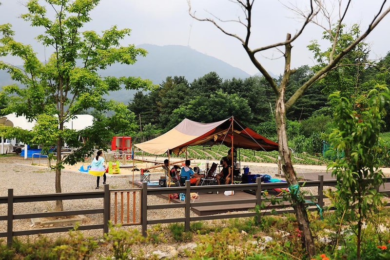 파주쇠꼴마을고고캠핑장 시설 사진 13