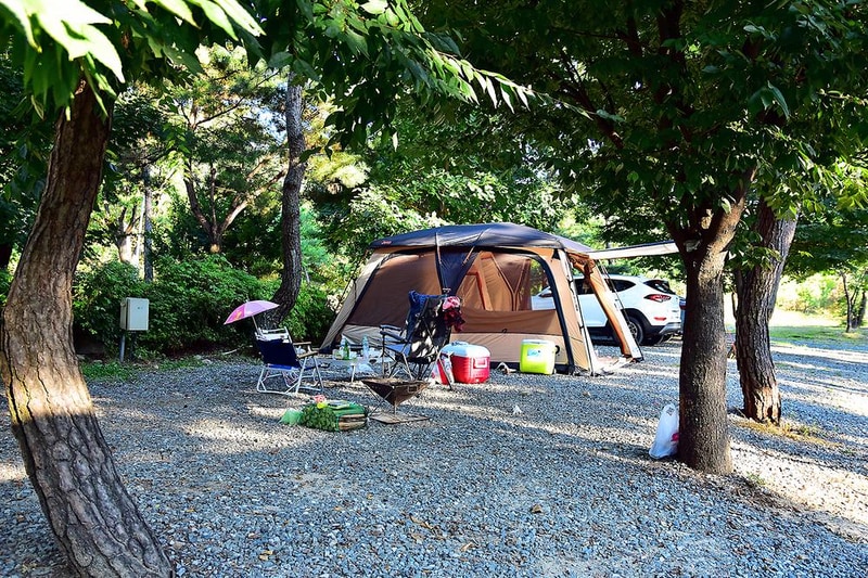 파인트리 캠핑장 시설 사진 2