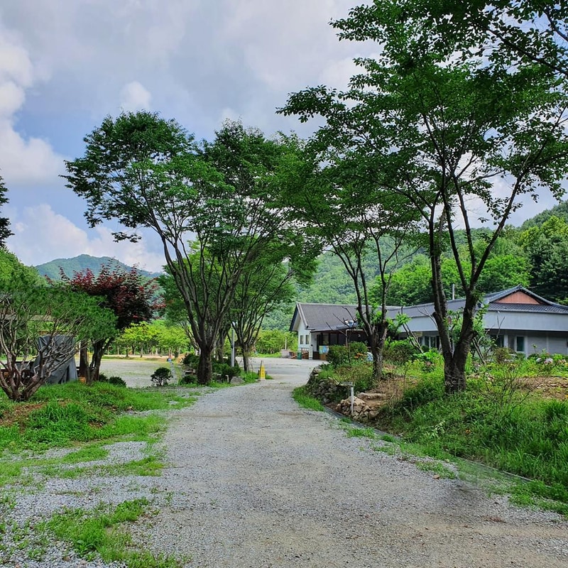 강원 홍천 알프스밸리 캠핑나라 글램독 시설 사진 20