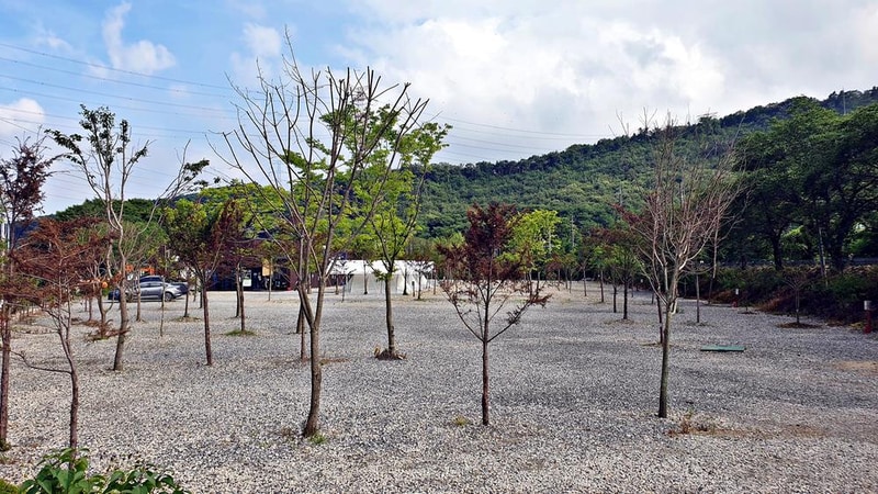 워터사이드 캠핑장 시설 사진 36