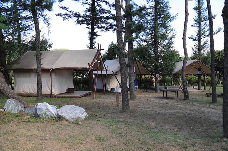 오커빌리지 대표 사진