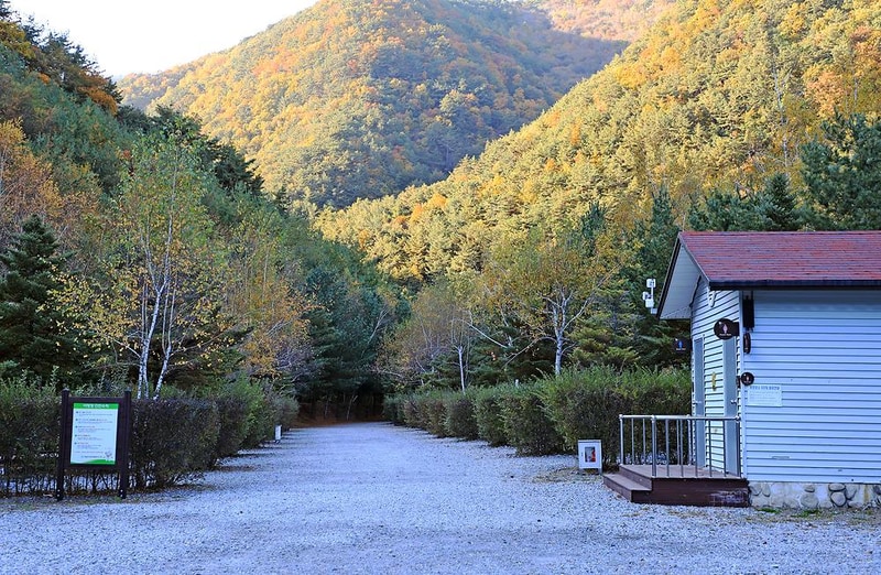 국립가리왕산자연휴양림 시설 사진 12