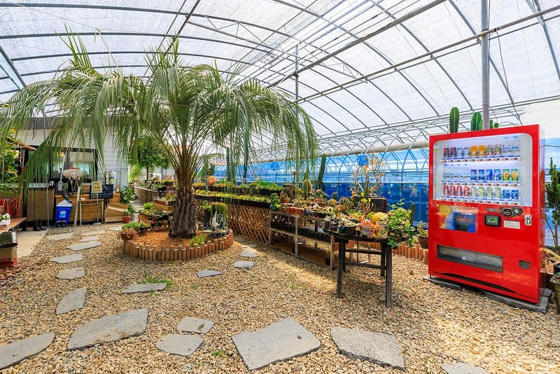 단아한 시설 사진 3