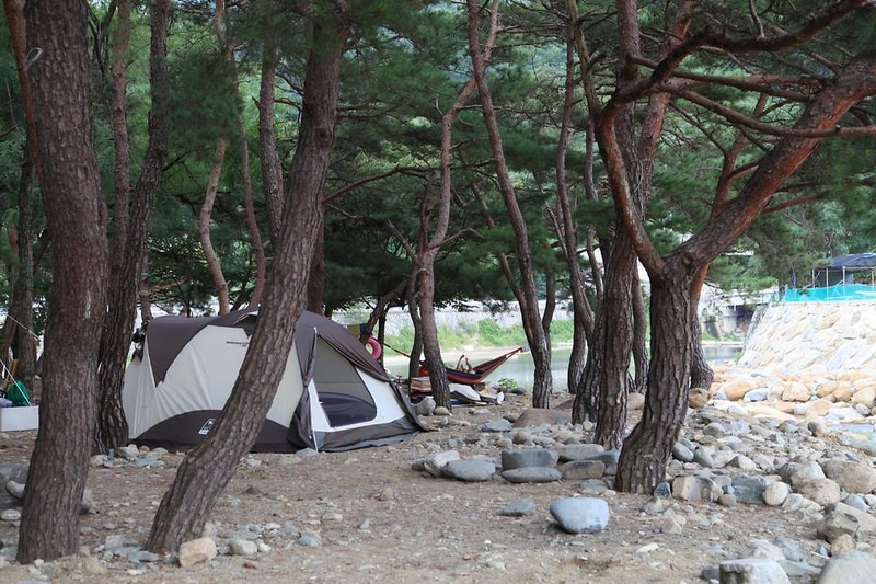 대포숲캠핑장 시설 사진 8