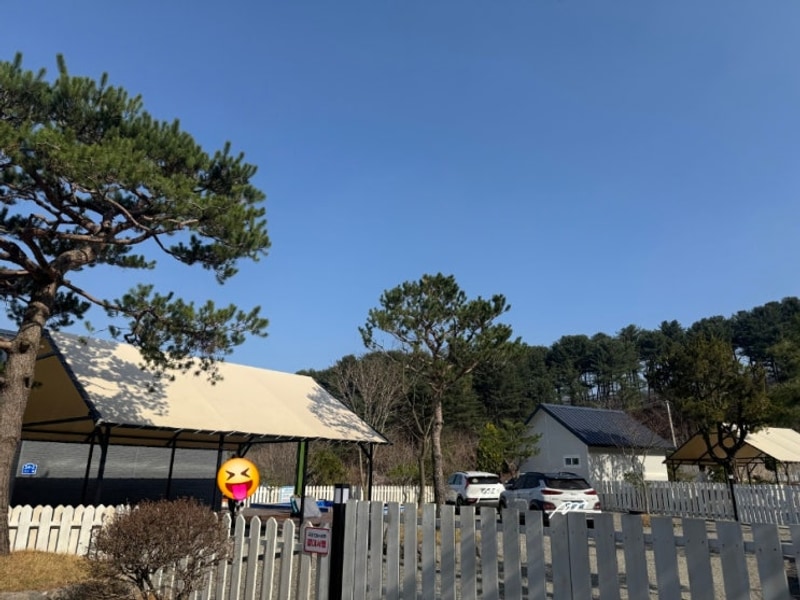 지동캠프 대표 사진