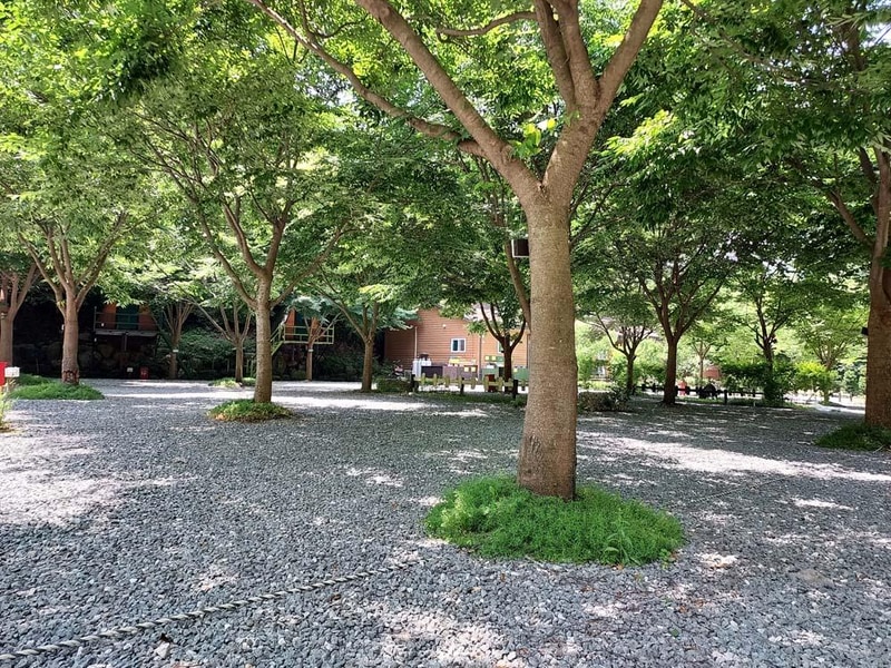 횡성산울림오토캠핑장 시설 사진 29