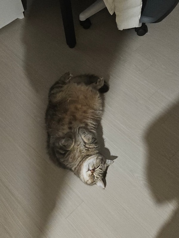 포라카이 카라반 대표 사진