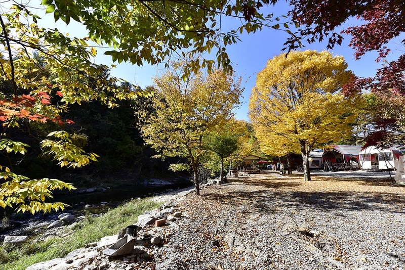 알파고글램핑 시설 사진 4