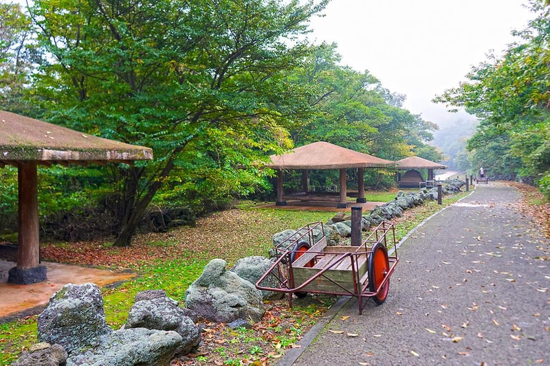 교래자연휴양림야영장 시설 사진 37