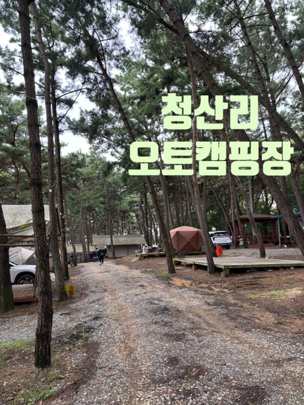 청산리오토캠핑장