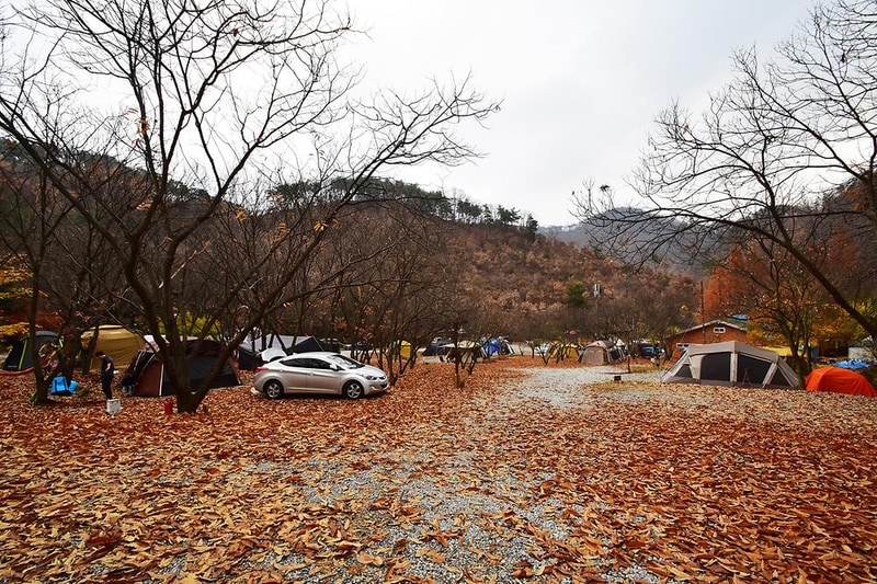 LAFORESTA(라포레스타) 시설 사진 6