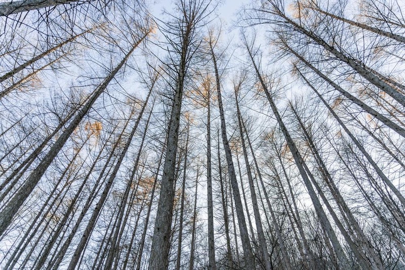거창 국민여가캠핑장 시설 사진 21