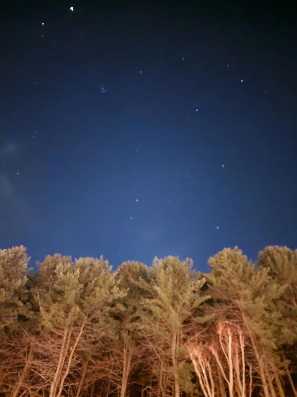 구릉지캠핑장 시설 사진 10