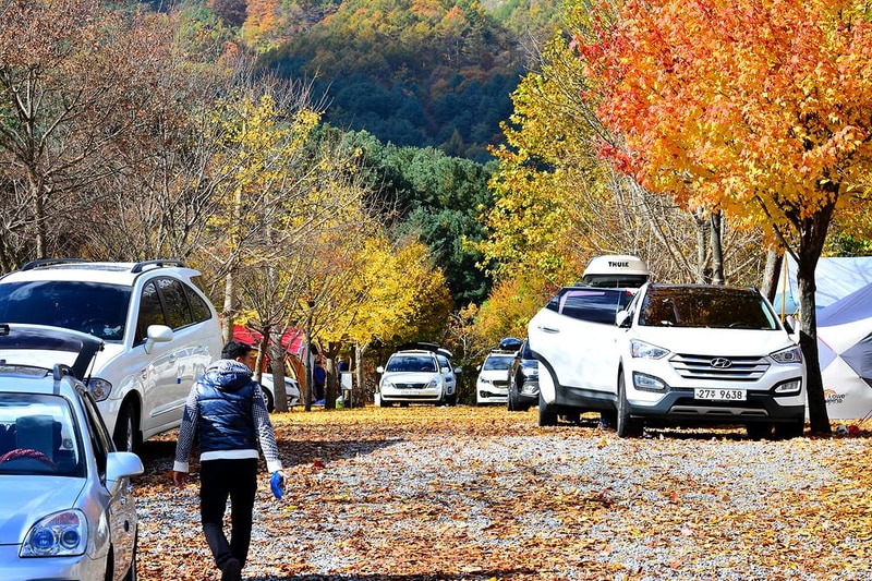 늘푸른쉼터 시설 사진 2