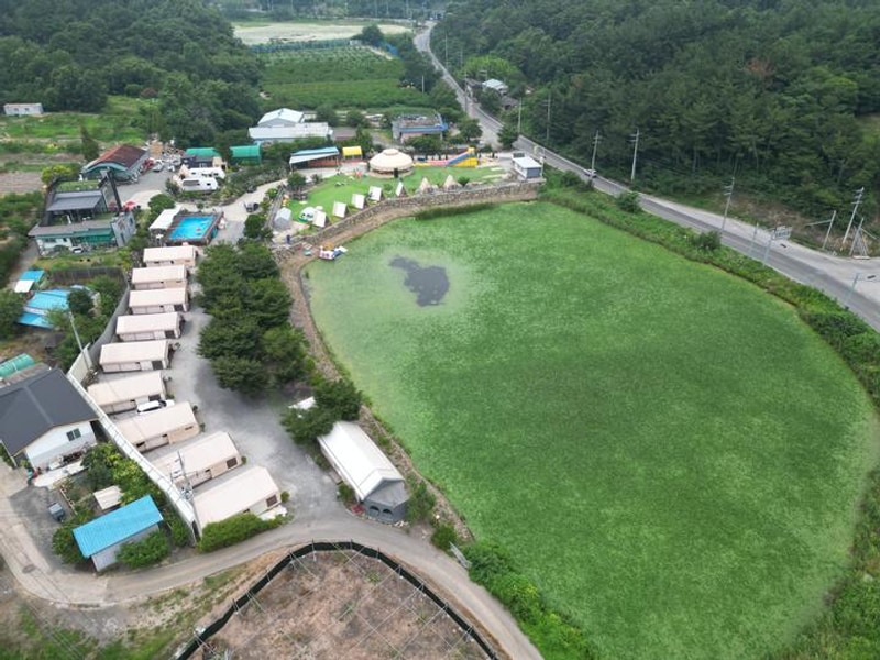 금박산관광농원 대표 사진