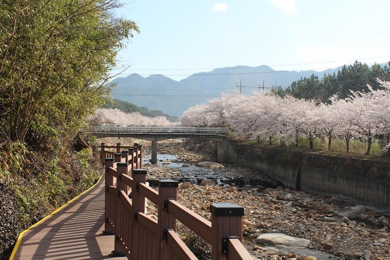 소나무 풍경 펜션 야영장 시설 사진 9