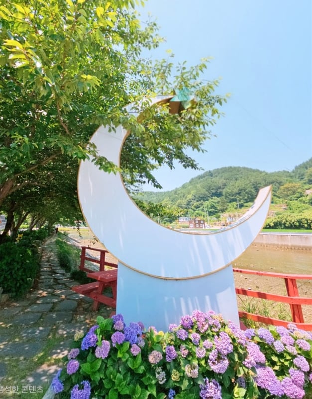 정원