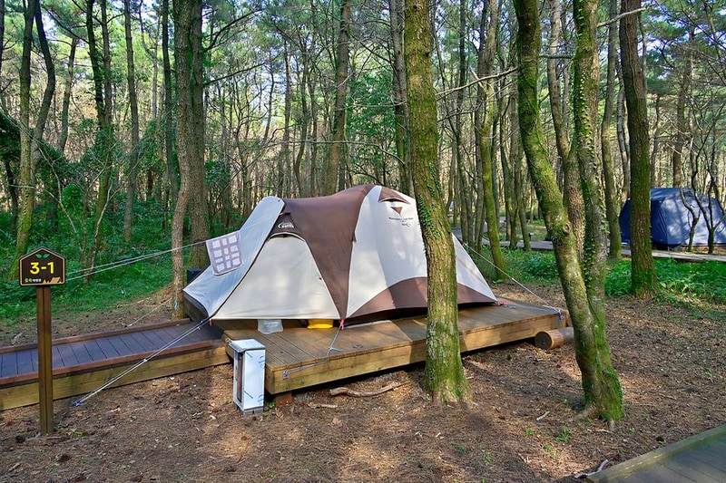 붉은오름 자연휴양림 숲속 야영장 시설 사진 37