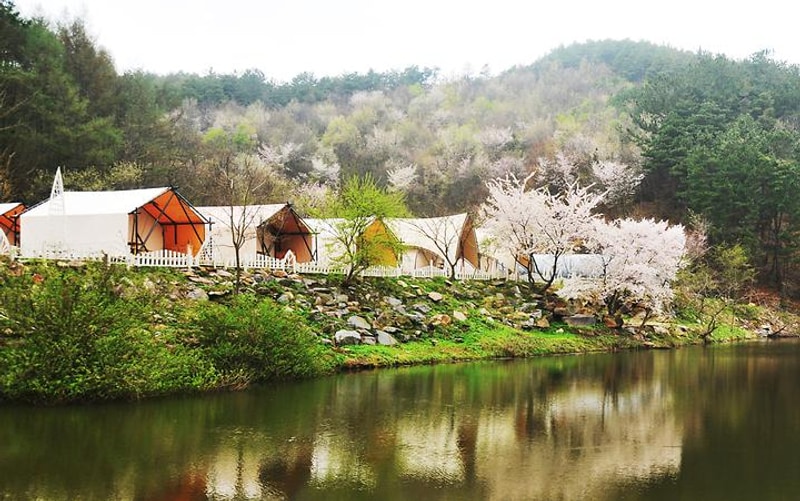 판앤팜 치유정원 대표 사진