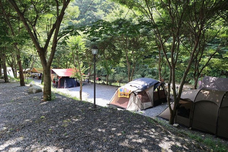 원주 우리 캠핑장 시설 사진 13
